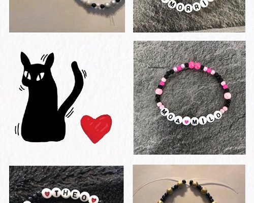 Tassens Armband Stöd En Katt i Nöd