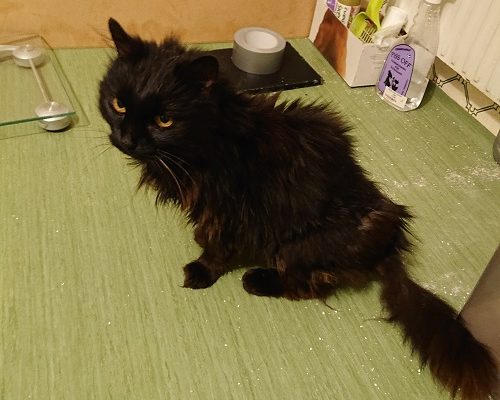 Akut insamling fortsätter