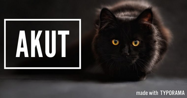 För alltid hem eller långvarig fristad sökes akut i Göteborg