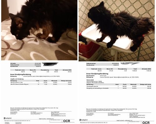 Uppdatering/Insamling Don