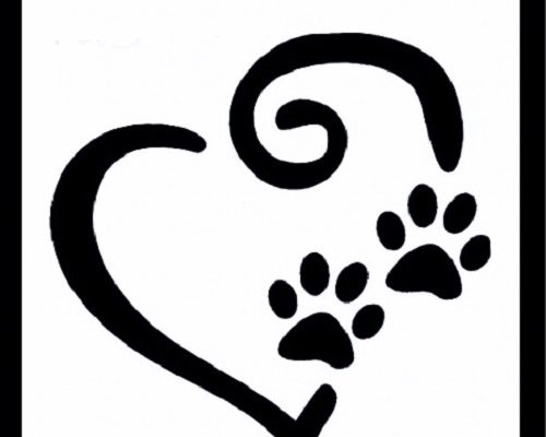 Tassens katthjälp fotokalender 2020