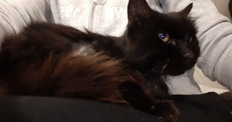 Tassens Stora Novemberutmaning