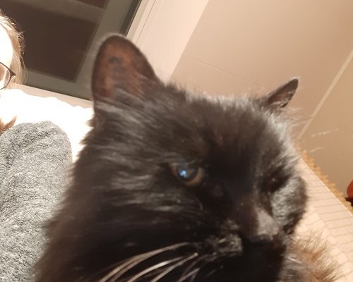 Månadens tjuga till förmån för Don fortsätter