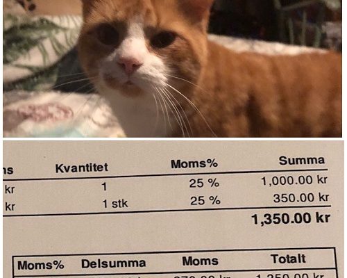 Redovisning/Uppdatering Stallungarna