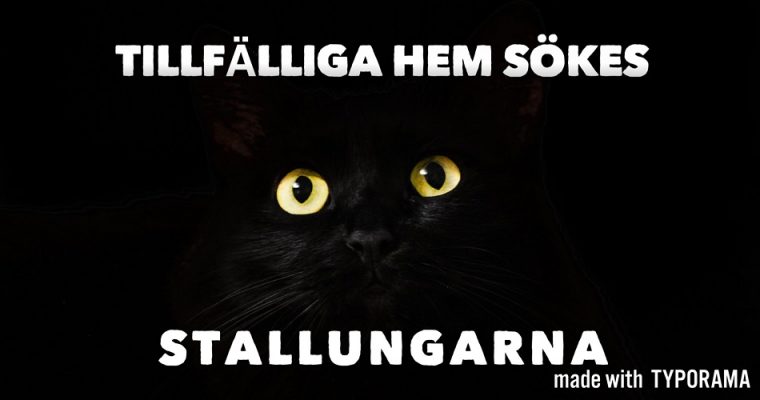 Tillfälliga hem sökes