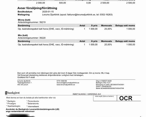 Redovisning Minna och Mio