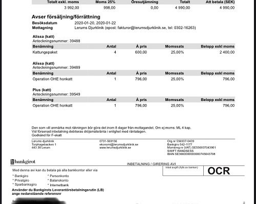 Redovisning Kattastrofkatterna