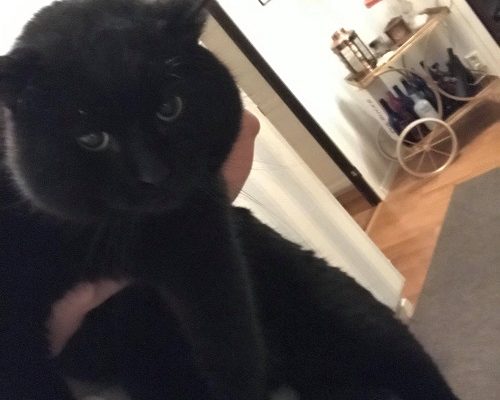 Nödrop/Insamling Twister