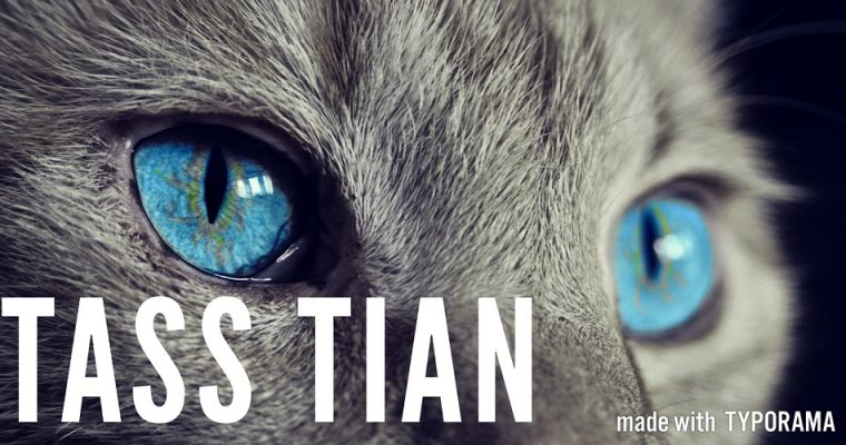 Tian till förmån för katter i nöd