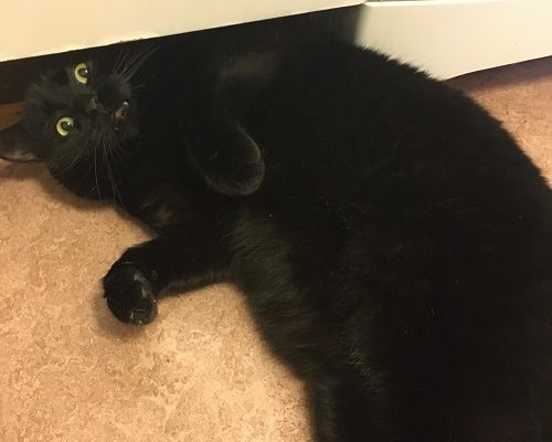 Akut Nödrop för Twister