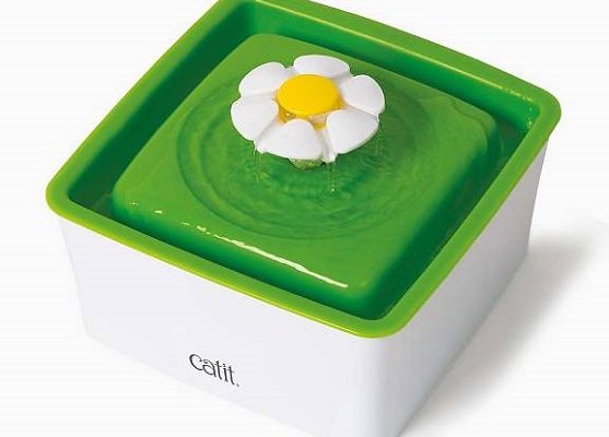 Lotteri Vattenfontän