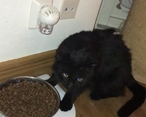 Akut Nödrop/Insamling