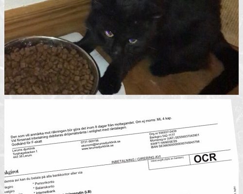 Redovisning/Insamling Panter