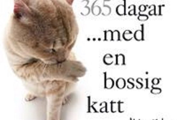 Lotteri för Stallungarna