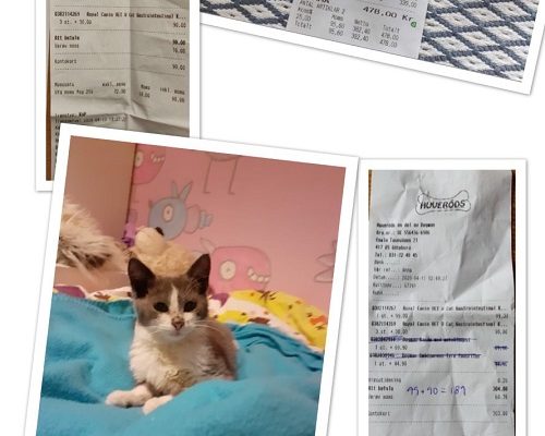 Redovisning – Fia-Lia