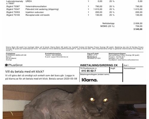 Redovisning/Uppdatering