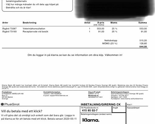 Redovisning/Uppdatering Silvia