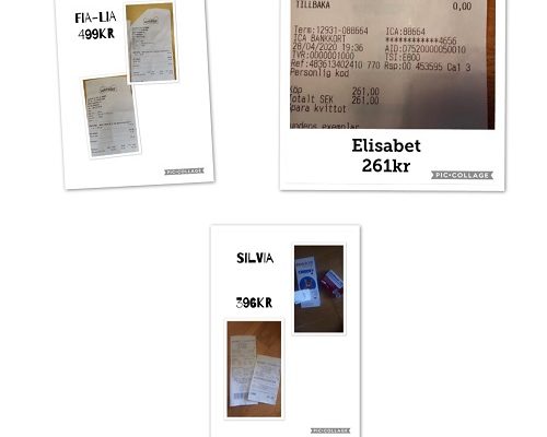 Diverse redovisningar