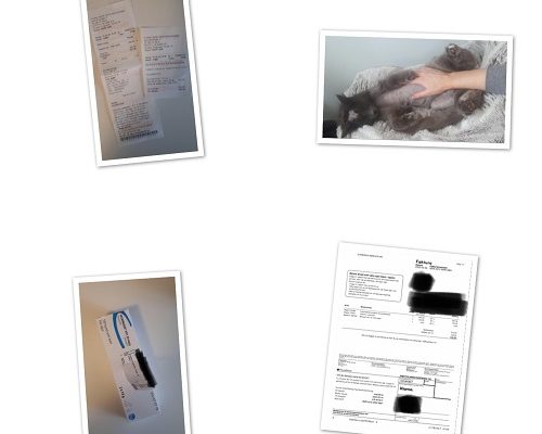 Redovisning/Uppdatering Silvia