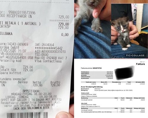 Redovisning Misärkatterna