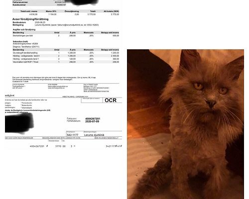 Redovisning Sebastian