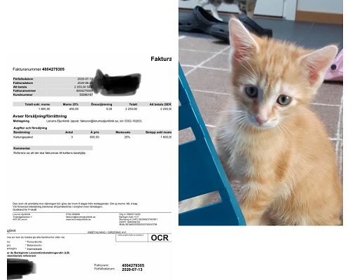 Redovisning Elisabet, Oliver och Nisse