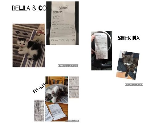 Redovisning Diverse kvitton