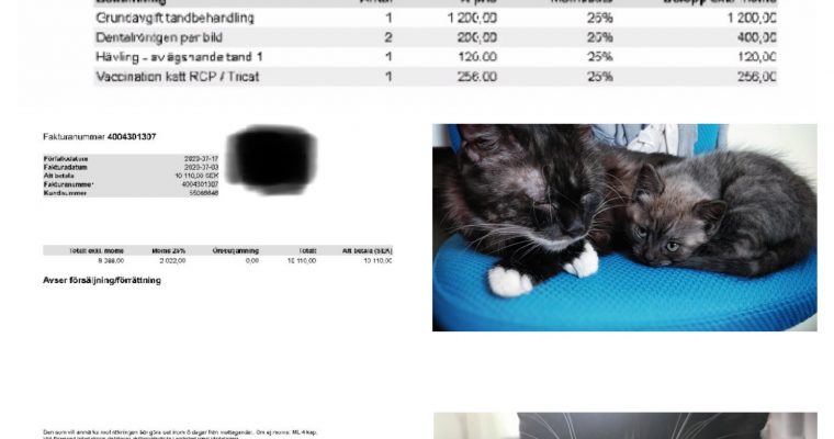 Redovisning Bella och Tindra