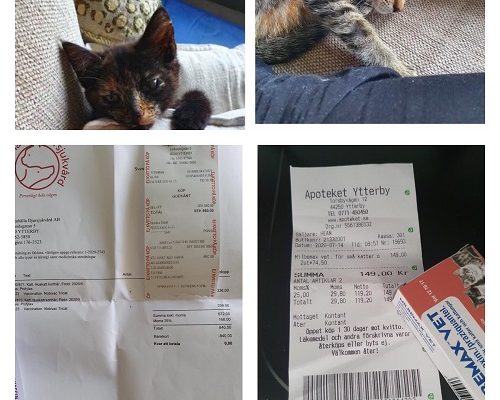 Redovisning Ebba och Siri