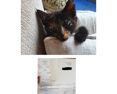 Redovisning Ebba och Siri