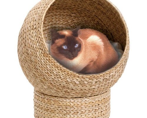 Lotteri Kattkorg