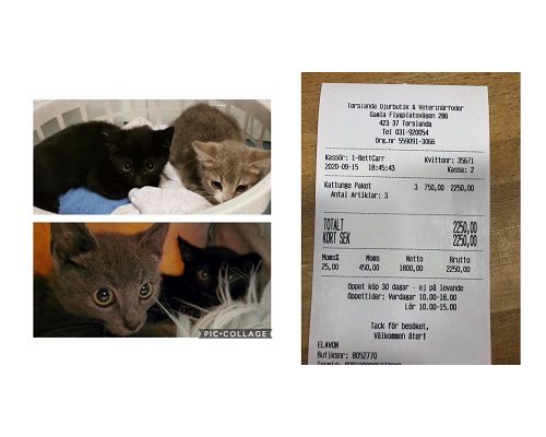 Redovisning de små skyggisarna