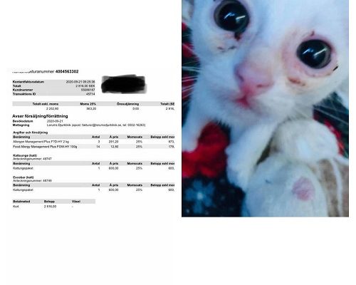 Redovisning/Insamling Escobar och nykomlingen Laban