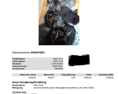 Redovisning f.d. Stallungar