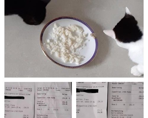 Redovisning Frans och Siri