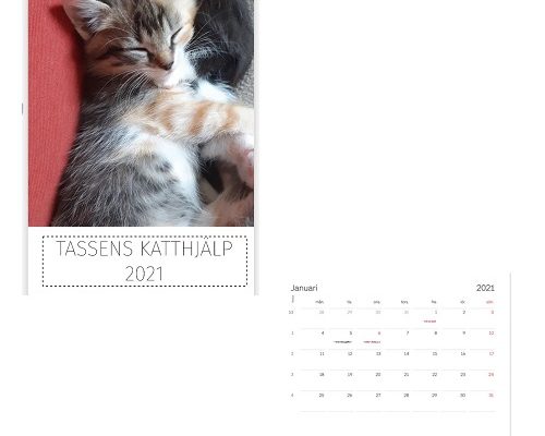 Tassens Fotokalender 2021