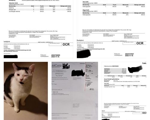 Dagens Redovisningar