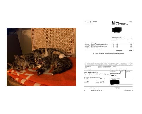 Redovisning Chica och Bebisen Skorpan