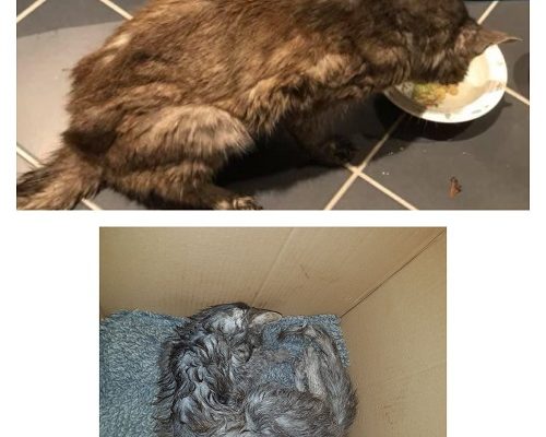 Akut insamling avslutad