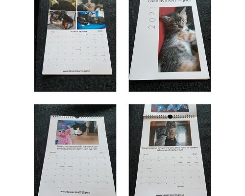 Fotokalender