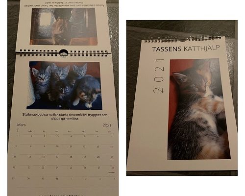 Lotteri Tassens Fotokalender