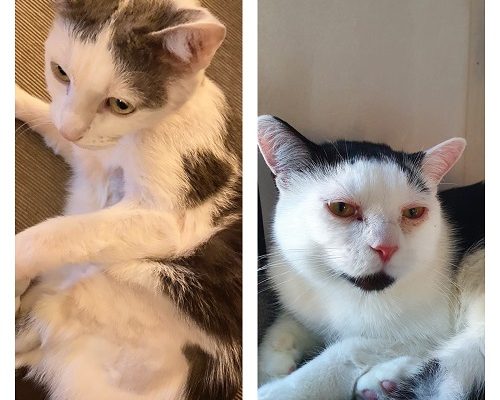 Uppdatering Frans och Anita