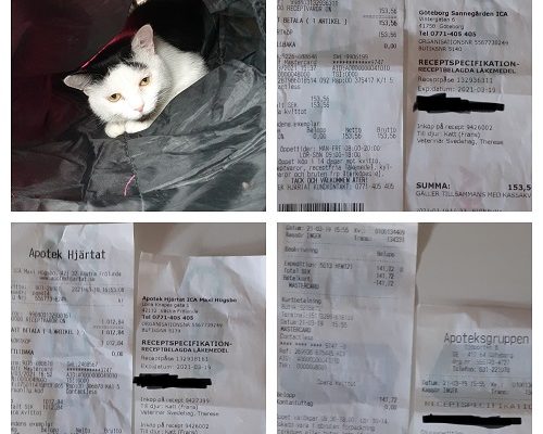 Redovisning Frans och Co Medicin