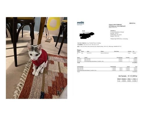 Redovisning /Insamling Anita