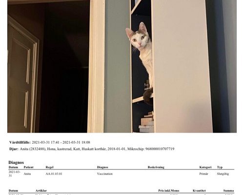 Redovisning/Uppdatering Anita