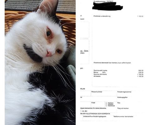 Redovisning/Uppdatering Frans