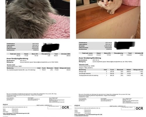 Redovisning/Uppdatering Skrutten och Sebastian