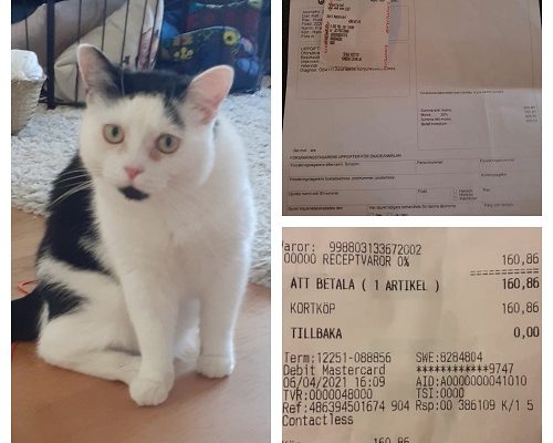 Redovisning/Uppdatering Frans