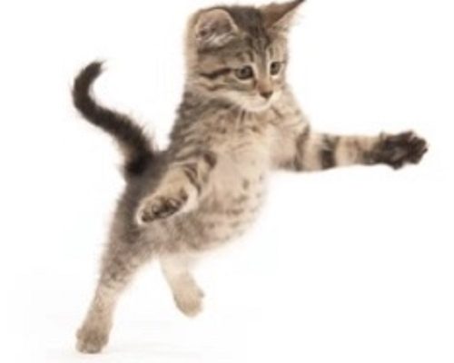 Uppdatera listan över tillfälliga hem