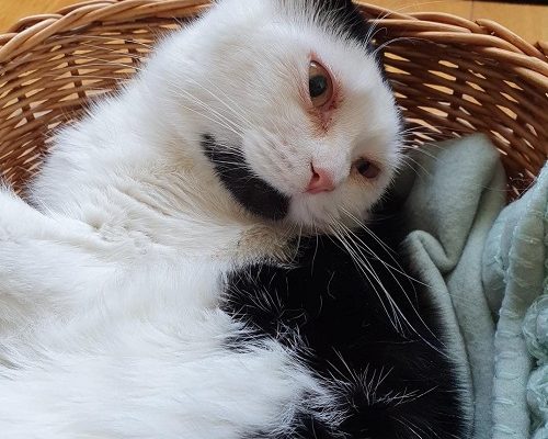 Månadens Utgifter April